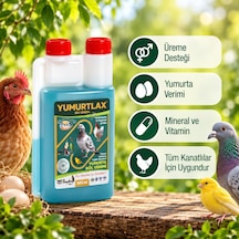 Yumurtlax Bio Sperm 500 Ml Kanatlı Hayvanlar İçin Üreme Ve Yumurta Verimi Besin Desteği