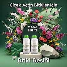 250 ML