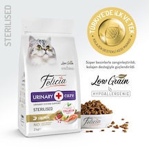 Felicia Light Sterilised Düşük Tahıllı Somonlu Kısırlaştırılmış Yetişkin Kedi Maması 2 KG