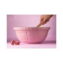 Original Cane S12 Mixing Bowl 29cm Pembe