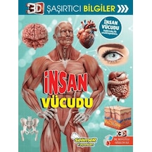 3d Şaşırtıcı Bilgiler - İnsan Vücudu - Sptl-761892