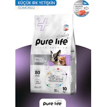 Plus Somonlu Küçük Irk Yetişkin Köpek Maması 10 Kg