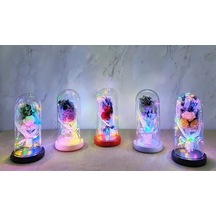 Ers Işıklı Müzikli Romantik Gül Buketi Tcx4999