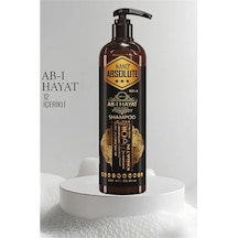 Ab-ı Hayat Nano Saç Şampuanı 12 İçerikli Absolute Professional 720015