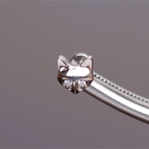 %100 G23 Titanyum Tilki Zirkon Titanyum 6x1.2mm Labret Kıkırdak Piercing Gri