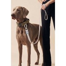 Köpekler İçin Dayanıklı Ve Güvenli, Desenli Gezdirme Tasması 25mm Gri