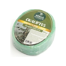 Okaliptus
