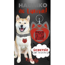 Petjoo 19.Hachiko Kırmızı-Gri Qr'lı Köpek Künyesi