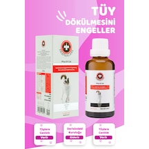 Pawnacare Plus B Kediler İçin Tüy Sağlığını Destekleyici Multivitamin 50 ML