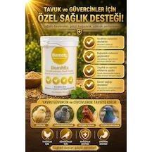 Bemoty Bemmix 100 Gr