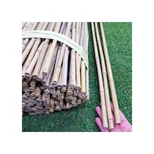 Bambu Bitki Destek Çubuğu 180 Cm, 5 Adet, Sağlam Ve Dayanıklı Bah