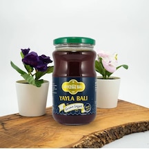 Kb Köyceğiz Balı Yayla Balı Cam Kavanoz 450 G