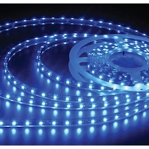 Cata Ct-4484 5 Metre 10 Çip Şerit Led İç Mekan Mavi Işık (454853920)
