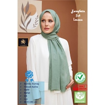 Mint Yeşili