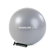 Merrithew Health & Fitness Stability Ball - 65cm Withpump Silver Cn St-06207