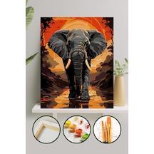 Sayılarla Boyama Tuval Seti 40x50 Cm - Fil