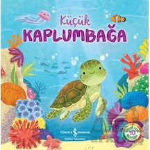 Küçük Kaplumbağa