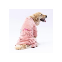 Rose Angers Büyük Irk Köpek Tulum-köpek Kıyafeti