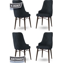 Antrasit - Ceviz