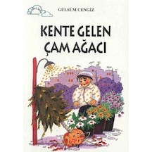 Diğer