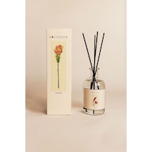 Koza Home Ginger Bambu Çubuklu Oda Kokusu 250 ML