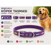 Boncuklu Köpek Boyun Tasması 26-35 Cm Küçük Irk Ayarlanabilir Metal Tokalı D Halkalı - Mor Çok Renkli