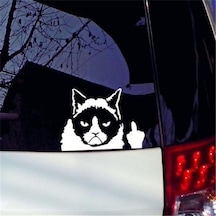 Kedi Komik Şaka Sticker Etiket Yapıştırma 19Cm