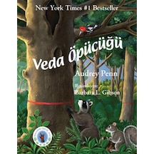 Minik Rakun Veda Öpücüğü - Audrey Penn - Butik