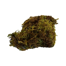 Yosun Su Yosunu Doğal 100 Gr Paket