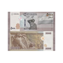 Suriye 2019 Yılı 5000 Pound Yabancı Kağıt Para Çil Unc Koleksiyon Para