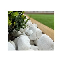 Ekodoğa Dolomit Taş 25 Kg 6-10 Cm Beyaz Dolomit Taş Saksı Dibi Dekoratif Taş Bahçe Süsleme Taşı Peyzaj Taşı