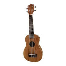 Eva 21" Zebra Uklele Xu21-44