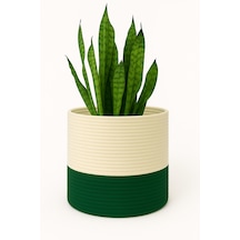 Mavaux Dekoratif Jüt Saplı Hasır Sepet Saksı 20cm X 20 Cm, Jüt Bej Saksılık, Dekoratif Saksı Ve Havluluk Yeşil