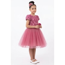 Mnk Baby & Kids Luvia Kısa Kol Kız Tütü Abiye Elbise M00811 Gülkurusu