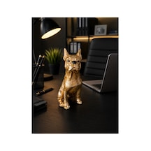 Gold French Bulldog Dekoratif Biblo Ofis & Komodin Dekoru Altın