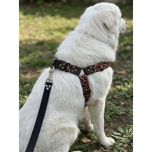 Tr Köpek Göğüs Tasması Ayarlanabilir Büyük Irk Kolon Kordon & Deri Leopard Genel