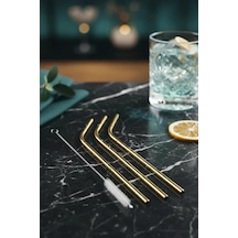 Miniso Lisanslı 3'lü Metal Pipet Seti 304 Paslanmaz Çelik Temizleme Fırçalı
