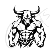 Araç Sticker Otomobil Motosiklet Özelleştirme 02