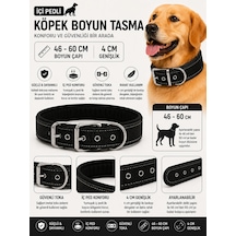 Köpek Boyun Tasması İçi Pedli 46-60 Cm 4 Cm Geniş Ayarlanabilir Metal Tokalı - Siyah Çok Renkli