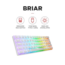 Briar Type-c Bağlantılı Rgb Puding Tuşlu Mekanik Red Switch Türkçe