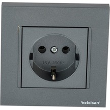 Netelsan Byobu Füme Topraklı Priz - Çerçeveli