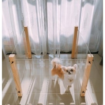 Pleksi Ahşap Köpek Çiti