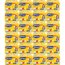 Canped Mesane Pedi Klasik L-Büyük Boy 240 Adet