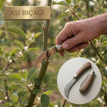 A.şı Bıçağı Eğri Uçlu Ara Çakı Bağ Bıçağı Paslanmaz Çelik Ahşap Saplı Katlanır Bıçak 21 Cm