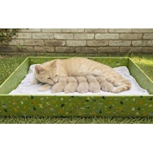 Kedi Evi Açık Yuva Genişlik 50cm Uzunluk 80cm Derinlik 12cm