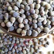Şifa Kaynağı Doğal Bamya Tohumu 250 GRam