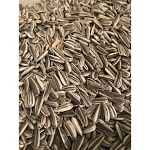 Küçük Alaca Çekirdek 1 KG Yeni Mahsul