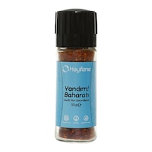 Hayfene Yandım Acı Baharatlı Çeşni 50 G - 5 Adet Tarı