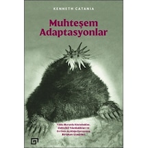 Muhteşem Adaptasyonlar  - Kenneth Catania  - Koç Üniversitesi Yayınları