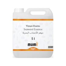 Yosun Mum Esansı 5 Litre Şeffaf